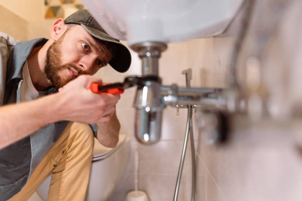 Best Plumbing Installation Services  in Colona, IL