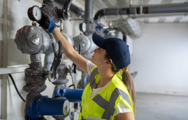 Best Affordable Plumber Near Me  in Colona, IL