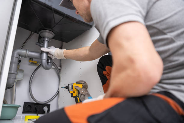 Best Commercial Plumbing Services  in Colona, IL
