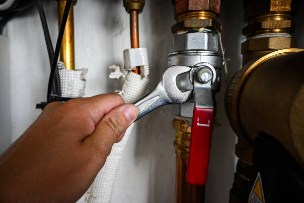  Colona, IL Plumbing Pros